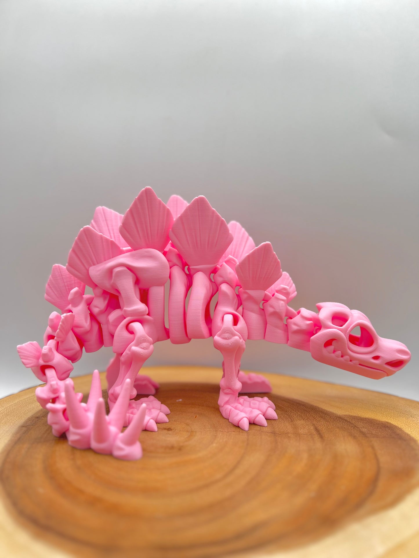 Skeleton Stegosaurus