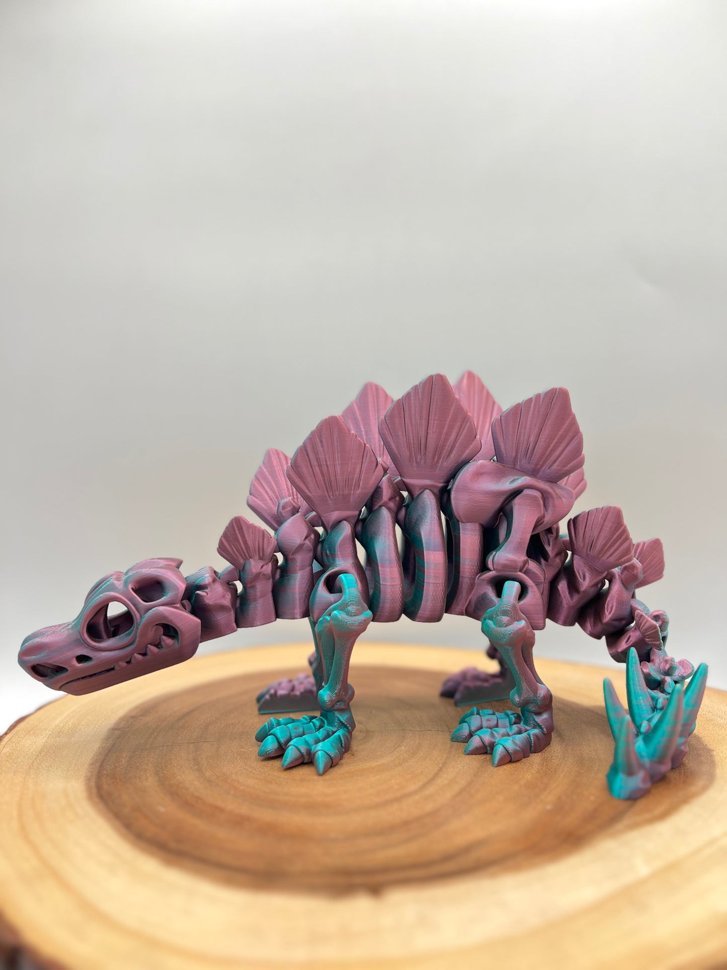 Skeleton Stegosaurus