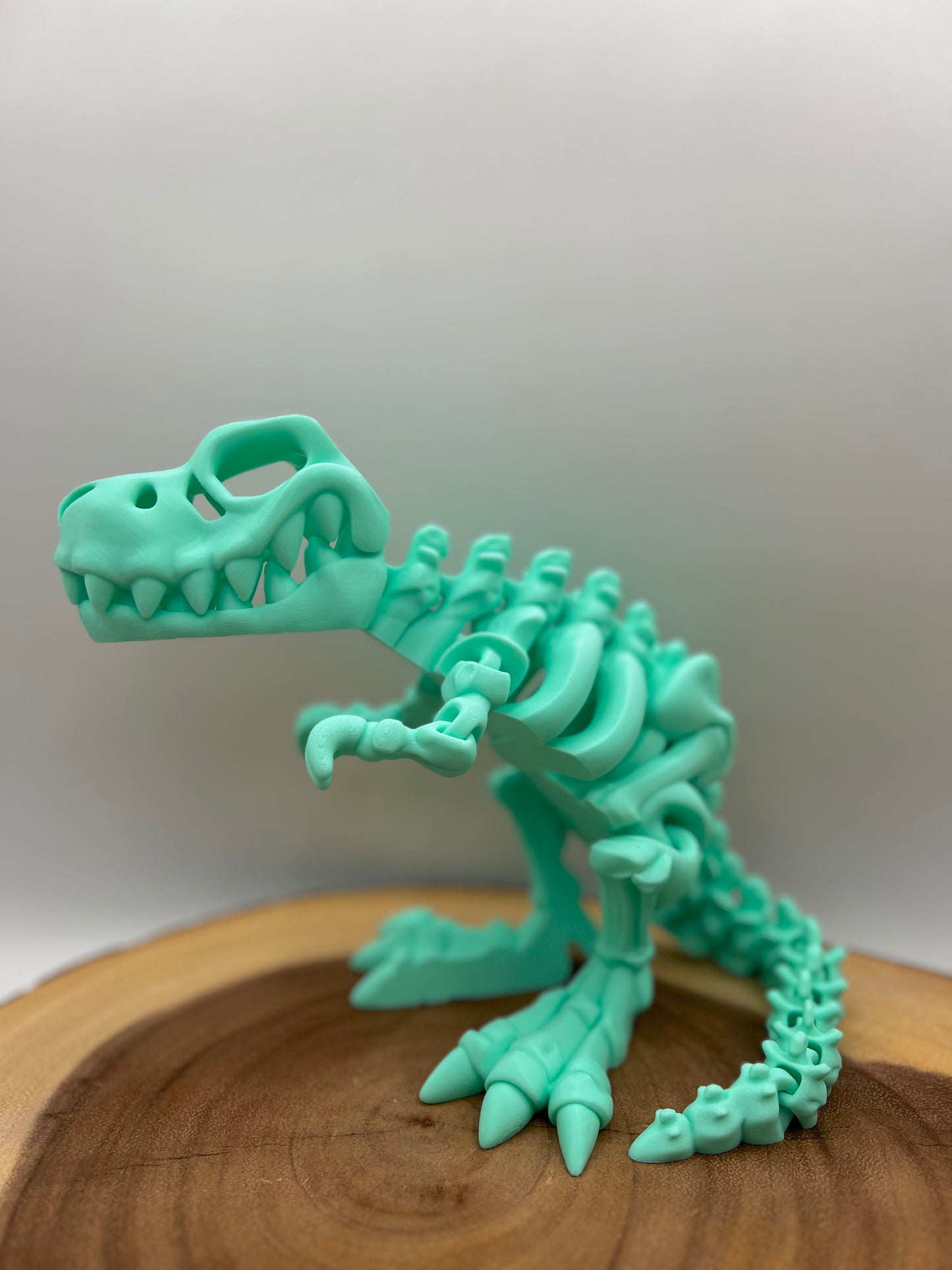 Skeleton T-Rex's