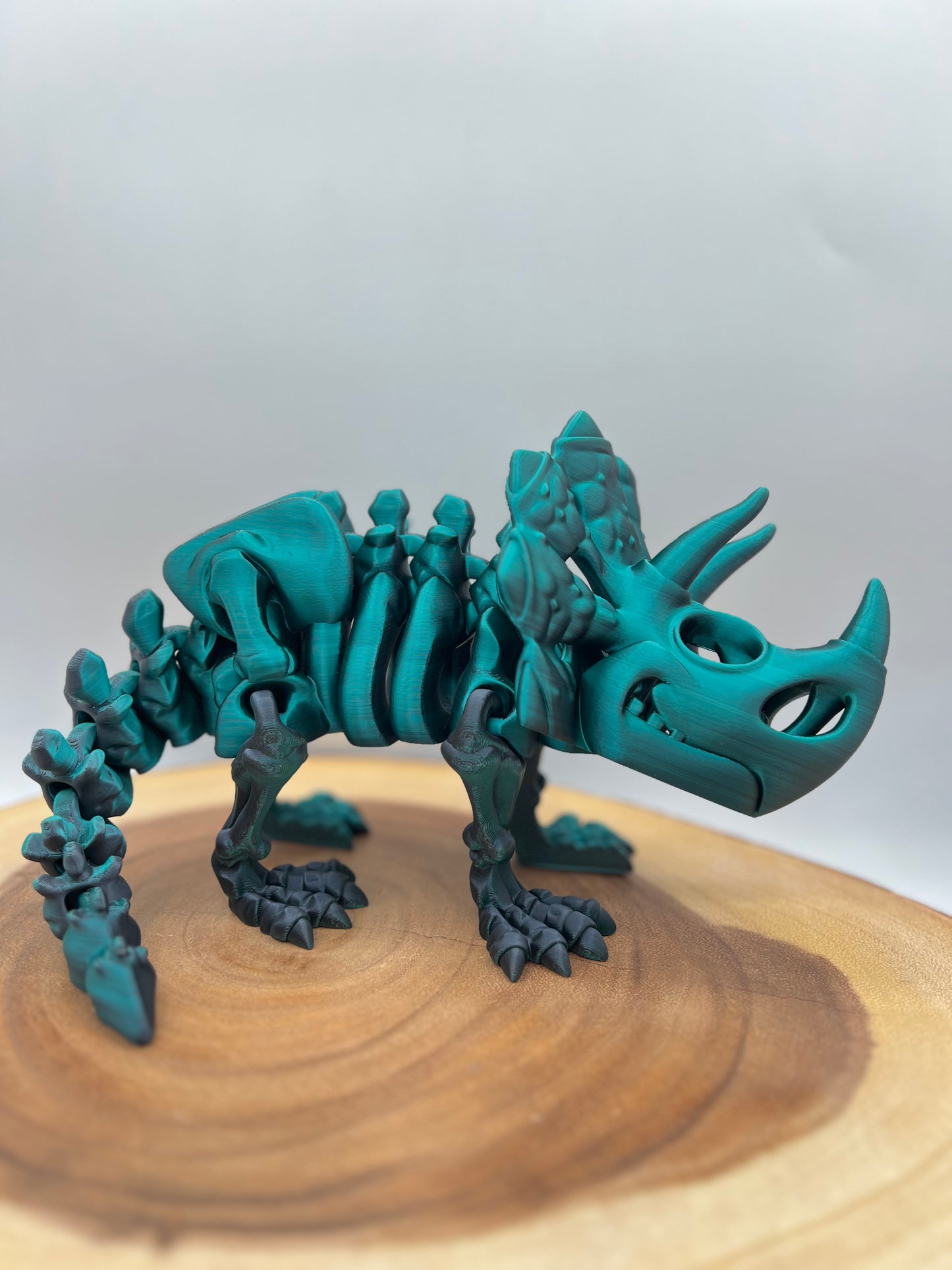 Skeleton Triceratops